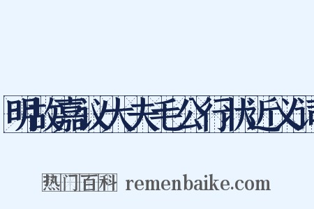 明故嘉议大夫毛公行状近义词是什么意思的图片